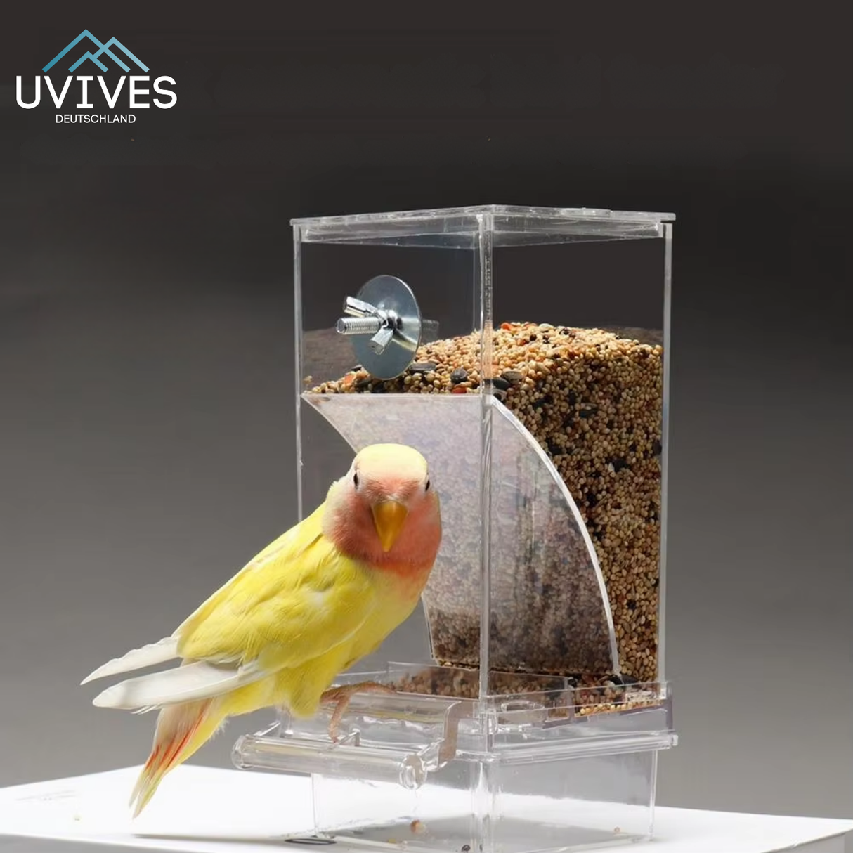 Carvallo – Ren utfodring, nöjda fåglar, mindre ansträngning Carvallo