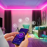 Carvallo - Luminös musik neonslang Carvallo