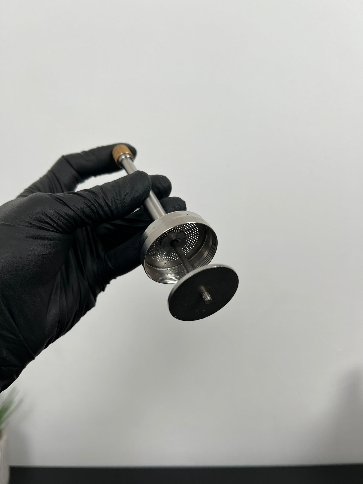 Carvallo - Full smak, inga kompromisser Carvallo