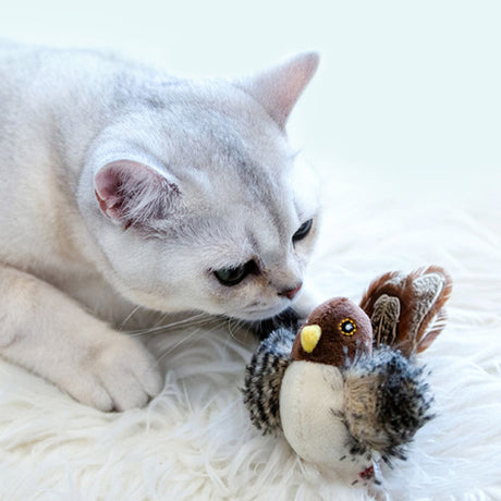 Carvallo - Den säkra leksaken för din katt! Carvallo