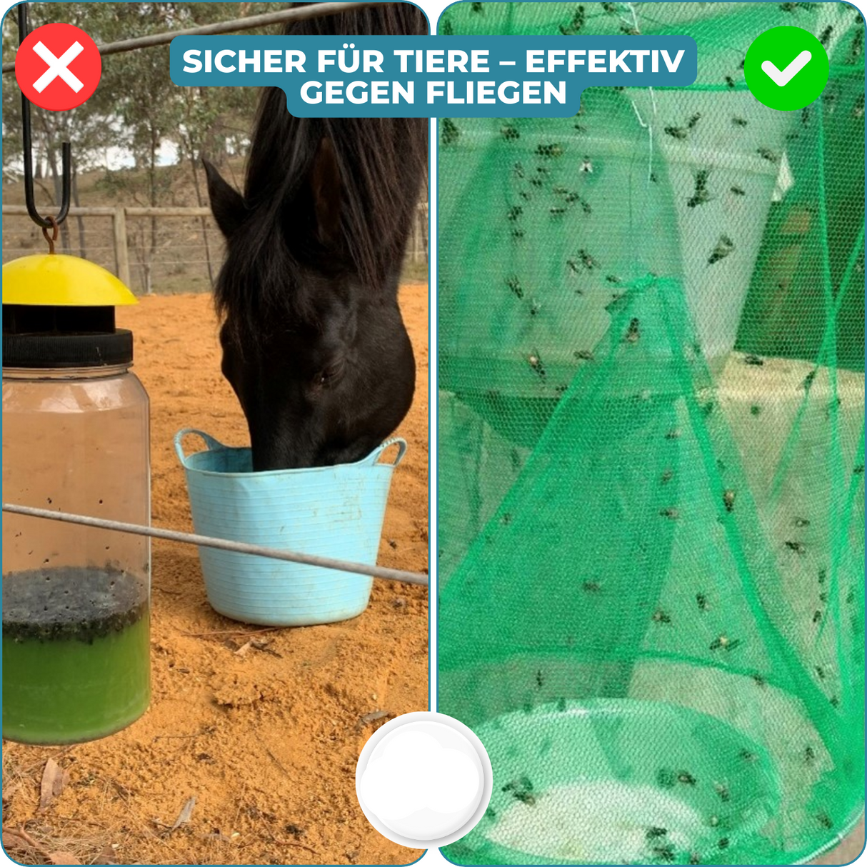 Carvallo – Slut med flugor i trädgården och huset Carvallo