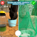 Carvallo – Slut med flugor i trädgården och huset Carvallo