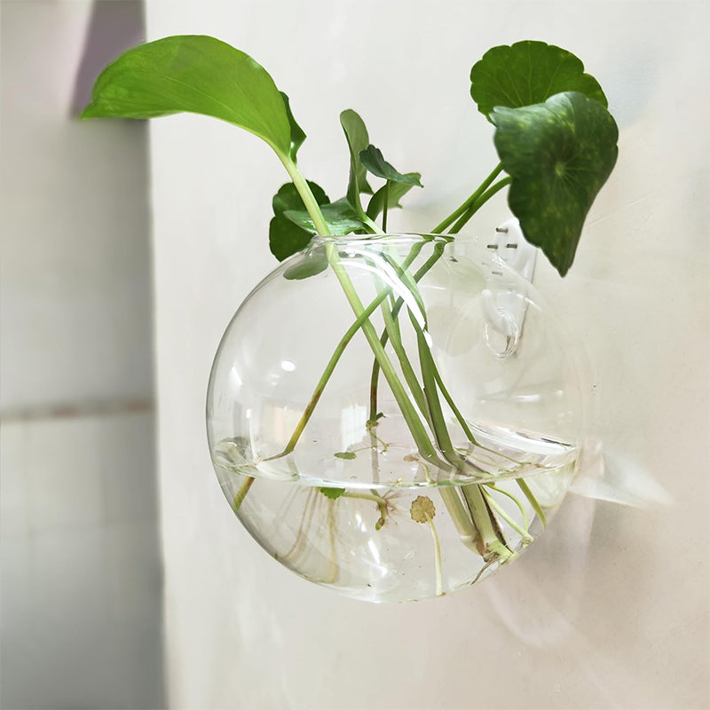 Carvallo | FlowerCrest - Kreativ vas för väggmontering Carvallo