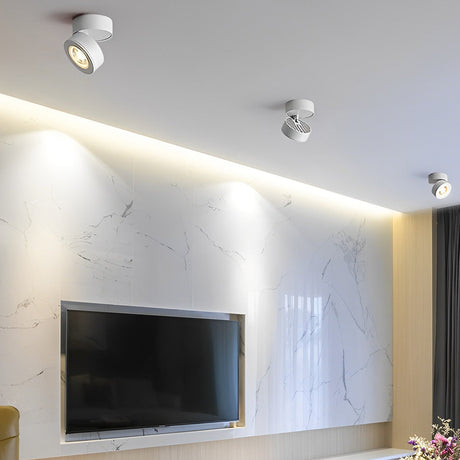 AdjustaGlow - Justerbar LED Nordic Spotlight Inbyggd Taklampa Carvallo