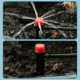 Carvallo – Droppbevattning gjort enkelt (100-pack) Carvallo