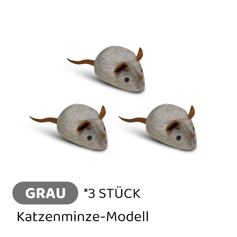 Carvallo | PawChase – Jaga, spela, jaga kul för din katt! Carvallo