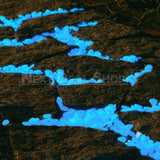 Carvallo | GlowPebbles - Ta med ljus i mörka vägar Carvallo