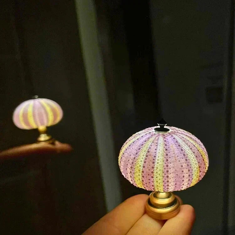 Kreativ DIY Sjöborre Lampa Carvallo