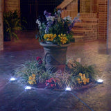 GlowDiscs – Utomhus solcellslampor, set om 8 Carvallo