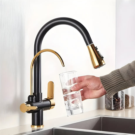 OrbiTap - Blandare med två handtag och filtersystem Carvallo