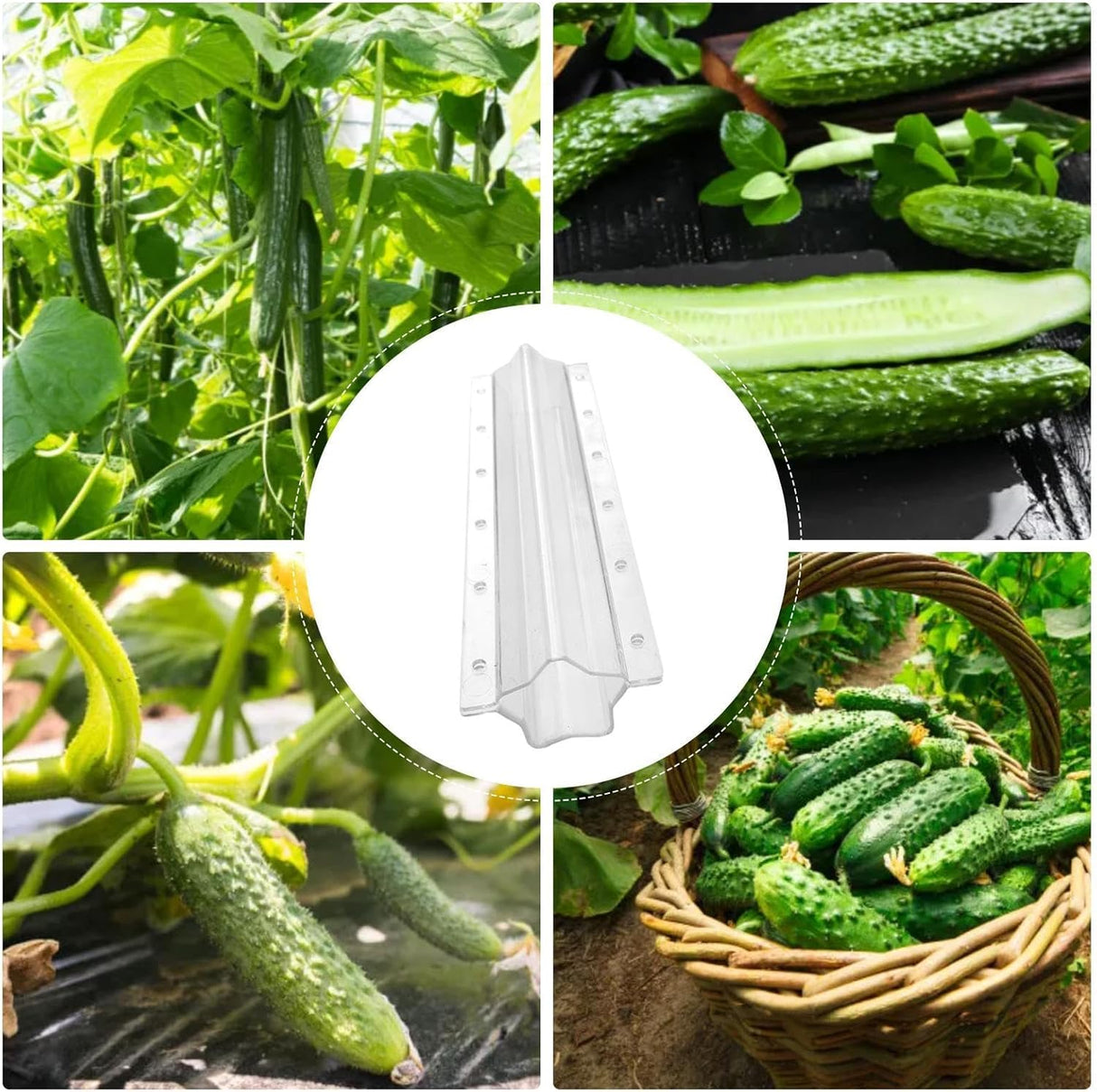 Sternform grönsaksform för gurkor – Kreativ formskena för frukt och grönsaker Carvallo
