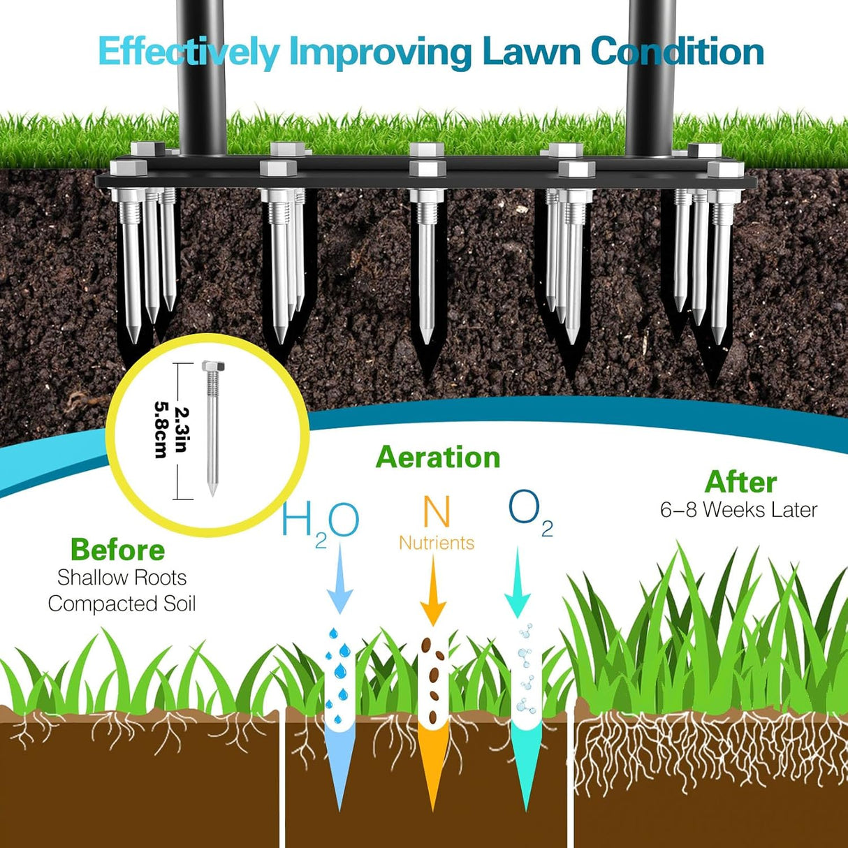 Carvallo – För stark gräs från botten och upp! Carvallo