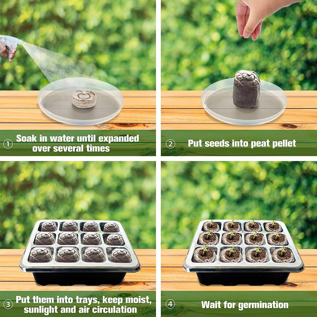 Kokosfibr Torv Anzökningspellets – Starter för fröplantering Carvallo