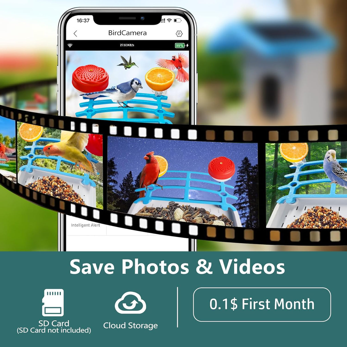 Smart fågelmatare med kamera solenergi driven Carvallo