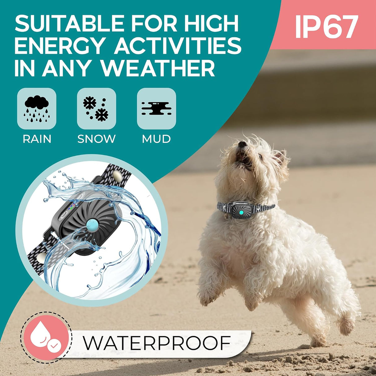 CANINECARE - BarkEase Anti-Bark Collar | För små hundar MILA Sverige