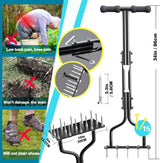 Carvallo – För stark gräs från botten och upp! Carvallo