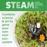 Plantas Växande Kit Färgglad Terrarium Sats Carvallo