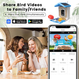 Smart fågelmatare med kamera solenergi driven Carvallo