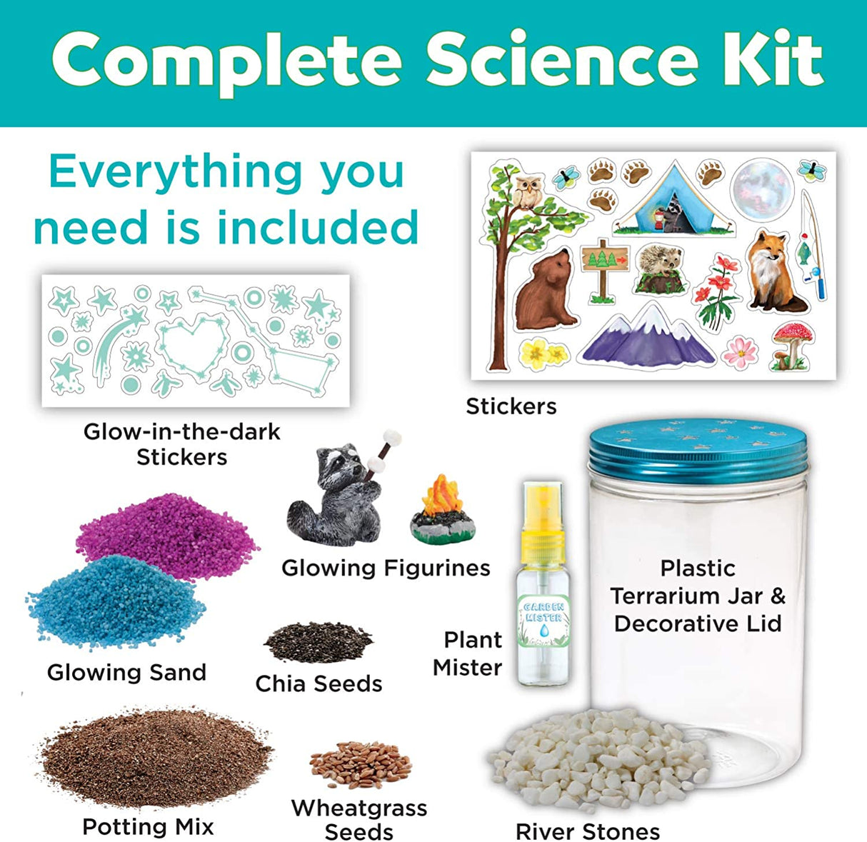 Plantas Växande Kit Färgglad Terrarium Sats Carvallo