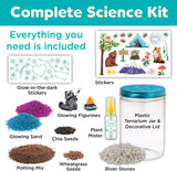 Plantas Växande Kit Färgglad Terrarium Sats Carvallo