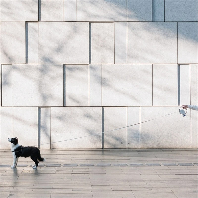 Carvallo Hundsele LumoLeash | Med LED-ljus & ergonomiskt grepp | Återställningsmekanism | För små & medelstora hundar Carvallo