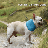 Svalkande Kylkrage För Husdjur-Husdjur-BB-Hemnix