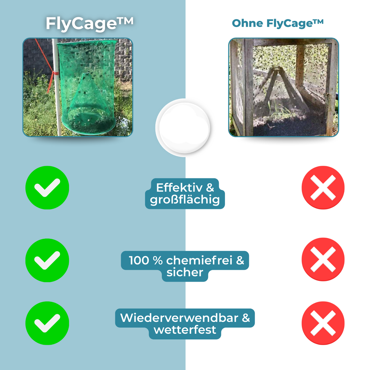 Carvallo – Slut med flugor i trädgården och huset Carvallo