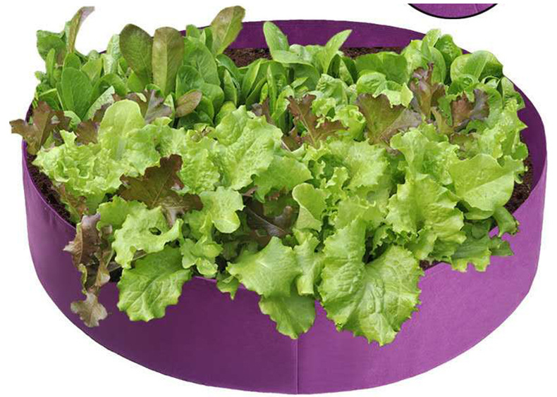 Rinder växttillväxtpåse – trädgårdskärl för enkel växttillväxt Carvallo