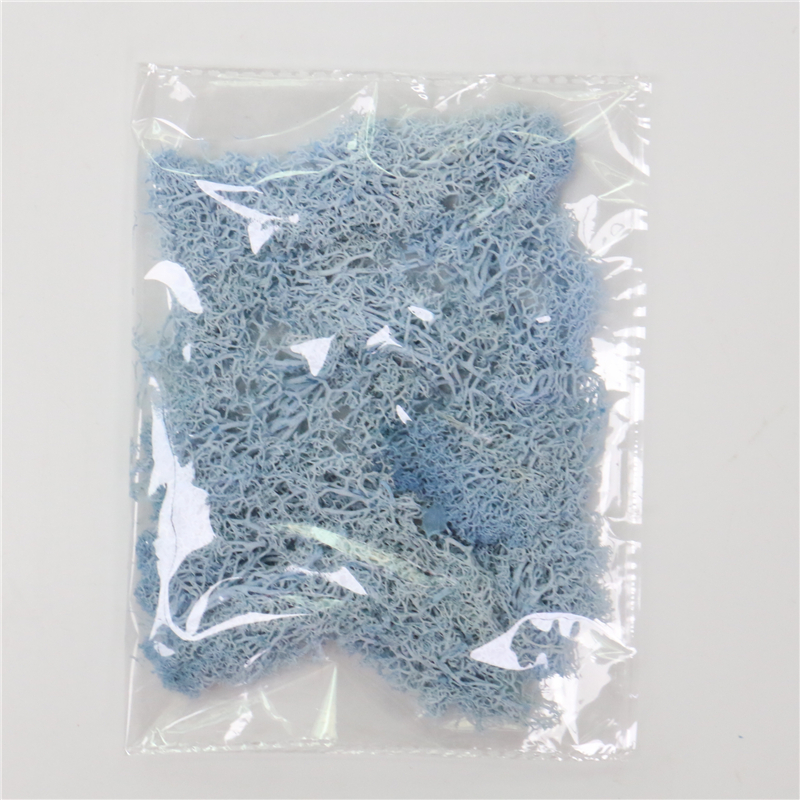 Konstgjord mossa för landskapsdesign – Mossa och blommor för dekoration och floristisk Carvallo