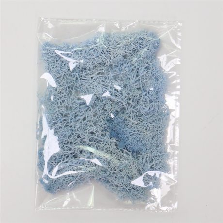 Konstgjord mossa för landskapsdesign – Mossa och blommor för dekoration och floristisk Carvallo