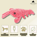 Carvallo – Den medspelare som tänker med Carvallo