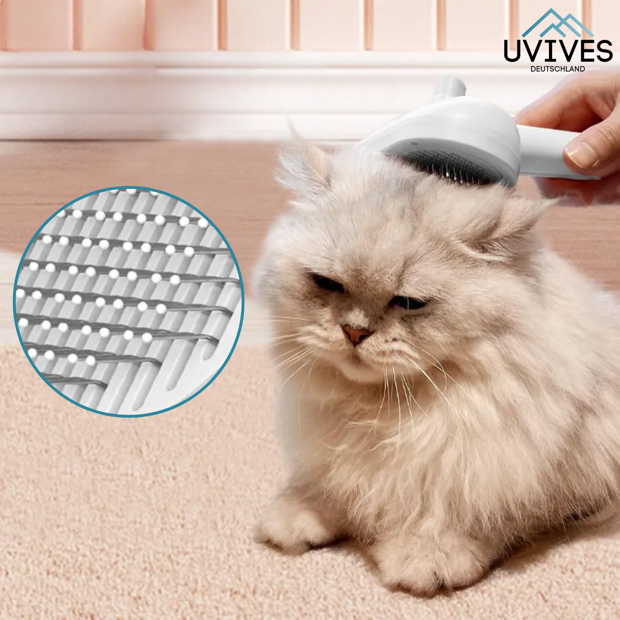 Carvallo – Mild vård, glansigt resultat Carvallo