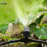 Carvallo Pro – Maximal avkastning med minimal ansträngning (20-pack) Carvallo