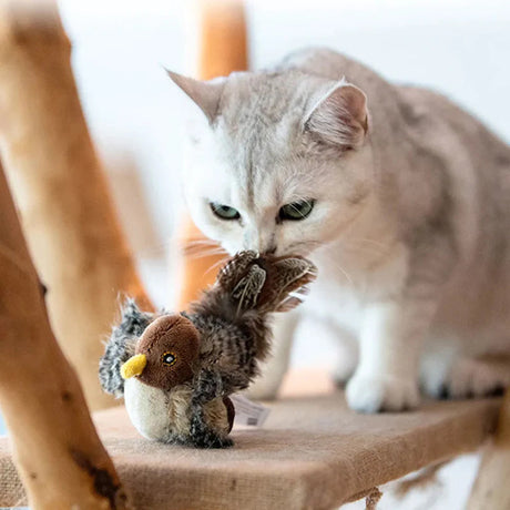 Carvallo - Den säkra leksaken för din katt! Carvallo