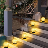 Carvallo - Solar Garden Globe ljus för en fridfull utomhus atmosfär Carvallo