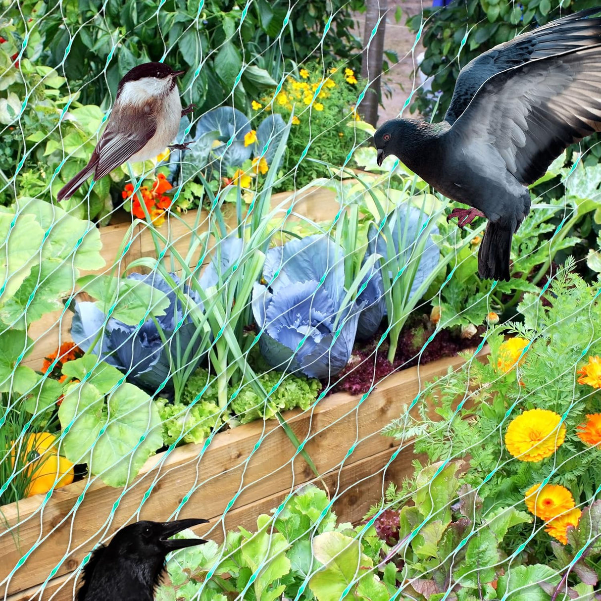 Skyddsnät för trädgårdsväxter – Grönt nät mot skadedjur och djur Carvallo