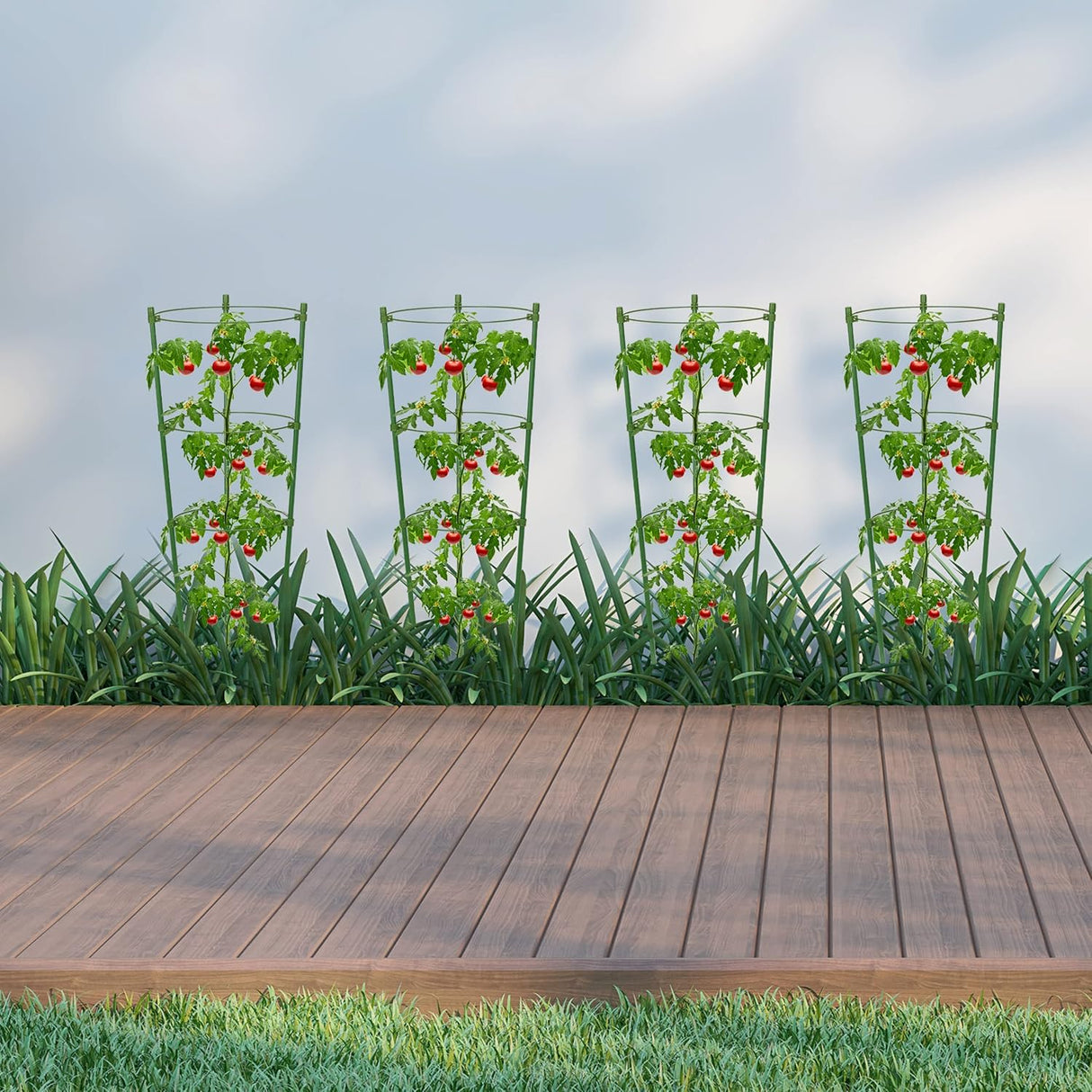 Klatram för växter – Stabil stödjeringram för klätterväxter Carvallo