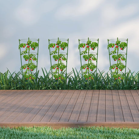 Klatram för växter – Stabil stödjeringram för klätterväxter Carvallo