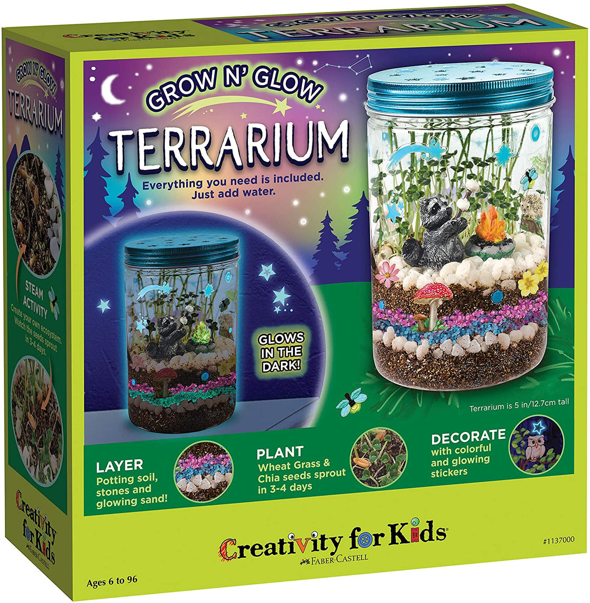 Plantas Växande Kit Färgglad Terrarium Sats Carvallo