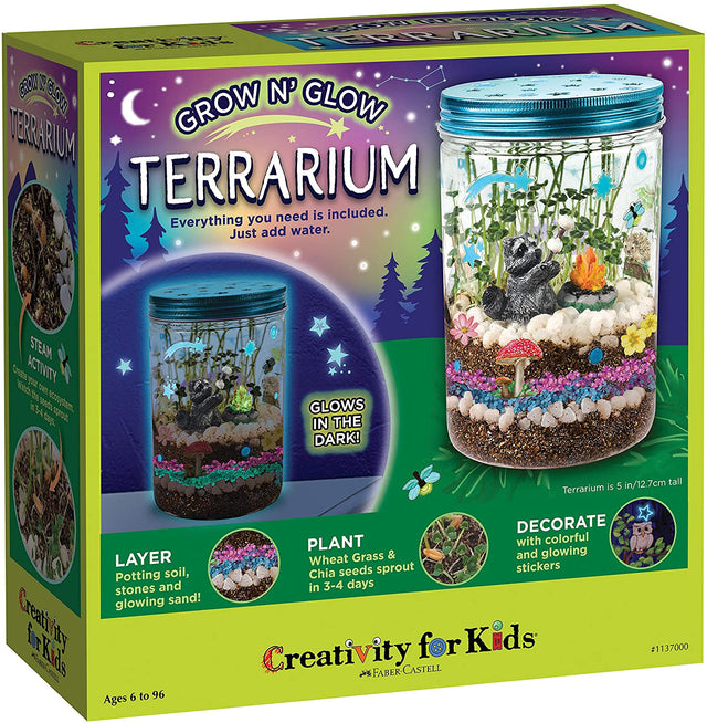 Plantas Växande Kit Färgglad Terrarium Sats Carvallo
