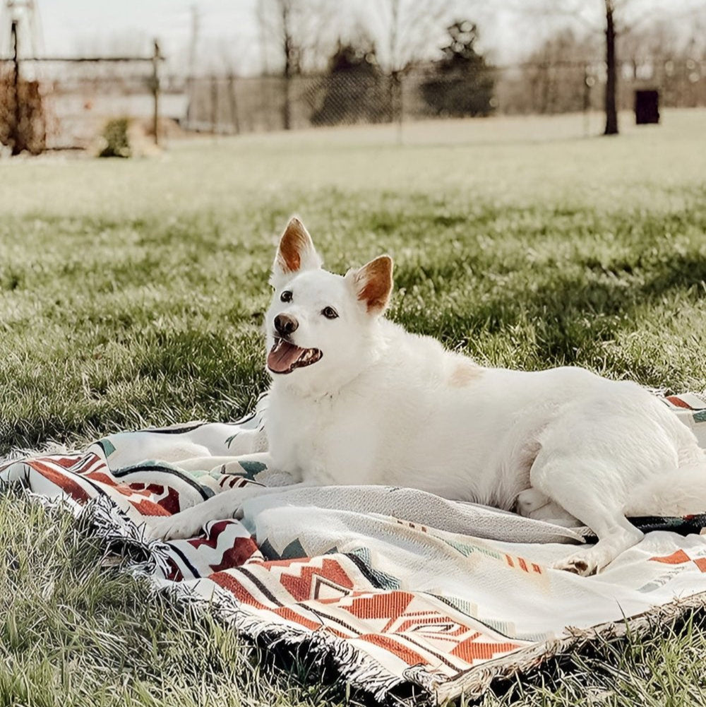 Stilig Bohemisk Picknickfilt Carvallo