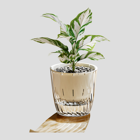 HydroGlow Kruka - 2-pack Självvattnande Bordsväxtkrukor Carvallo