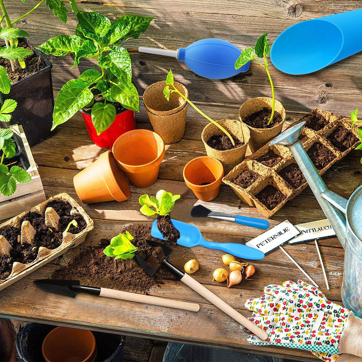 Sukkulentträdgårdsverktygsset med sprayflaska och tillbehör Carvallo