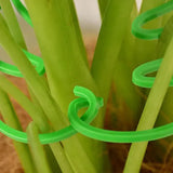 Carvallo växter stödsats | 2-delad | Av naturlig bambu | För inomhus- & utomhusträdgårdar | Stabil & dekorativ Carvallo