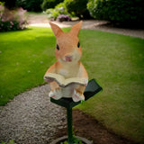 BunnyBright Light - Solar-Lesande-Kanin-Utomhusbelysning Carvallo