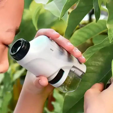 Carvallo – Stora upptäckter i fickformat. Carvallo