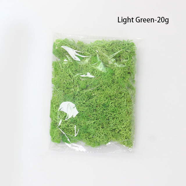 Konstgjord mossa för landskapsdesign – Mossa och blommor för dekoration och floristisk Carvallo