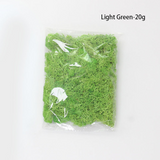 Konstgjord mossa för landskapsdesign – Mossa och blommor för dekoration och floristisk Carvallo