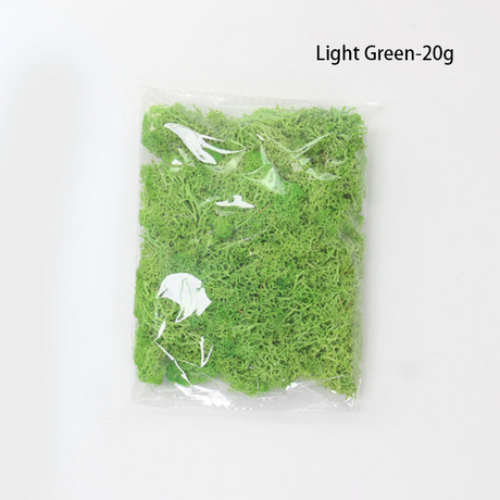 Konstgjord mossa för landskapsdesign – Mossa och blommor för dekoration och floristisk Carvallo