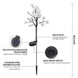 Carvallo – Förvandlar varje trädgård till ett blomsterparadis Carvallo